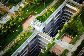 Green Roofs Help Improve City Air Quality