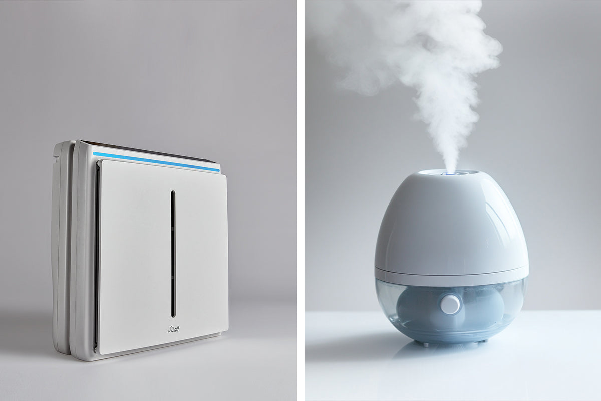 Air Purifier vs. Humidifier Which is Better For Your Office Rabbit Air