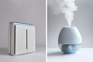 Air Purifier vs. Humidifier: Which is Better For Your Office
