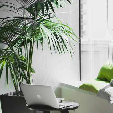 Indoor Air Quality Checklist For Better Indoor Air