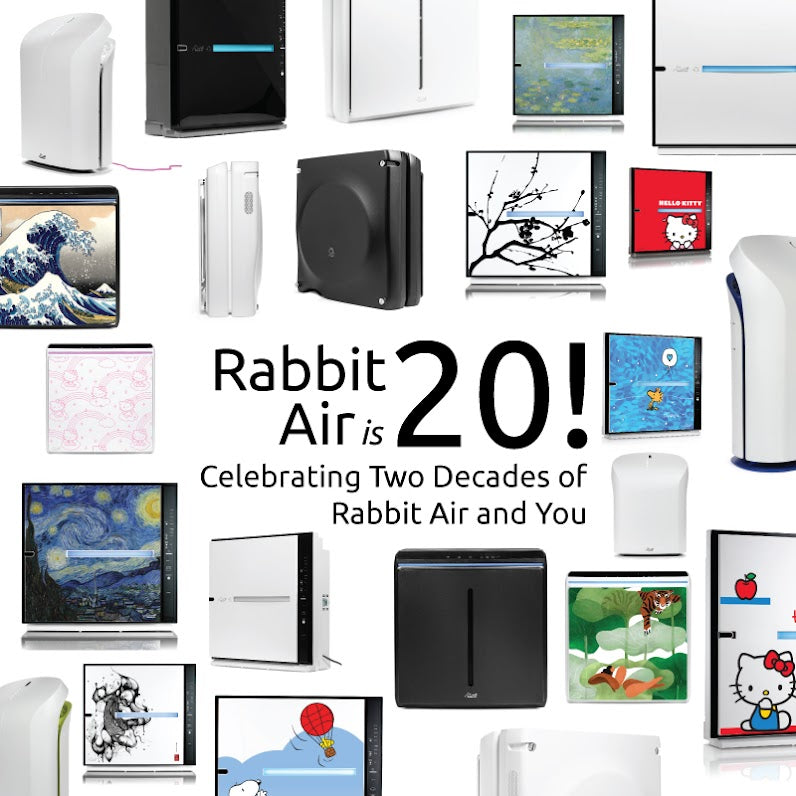 Celebrating 20 Years of Clean Air: A Journey with Rabbit Air