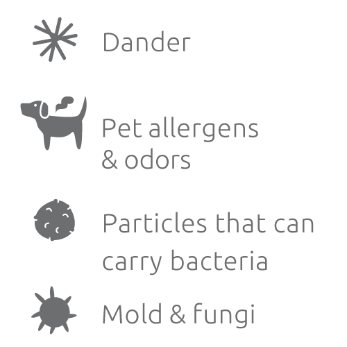 Allergen category: Pet dander, household allergens, pet odors, mold, and fungi spores