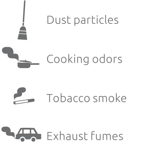 Allergen category: Fine airborne particles, smoke, smog, and airborne bacteria
