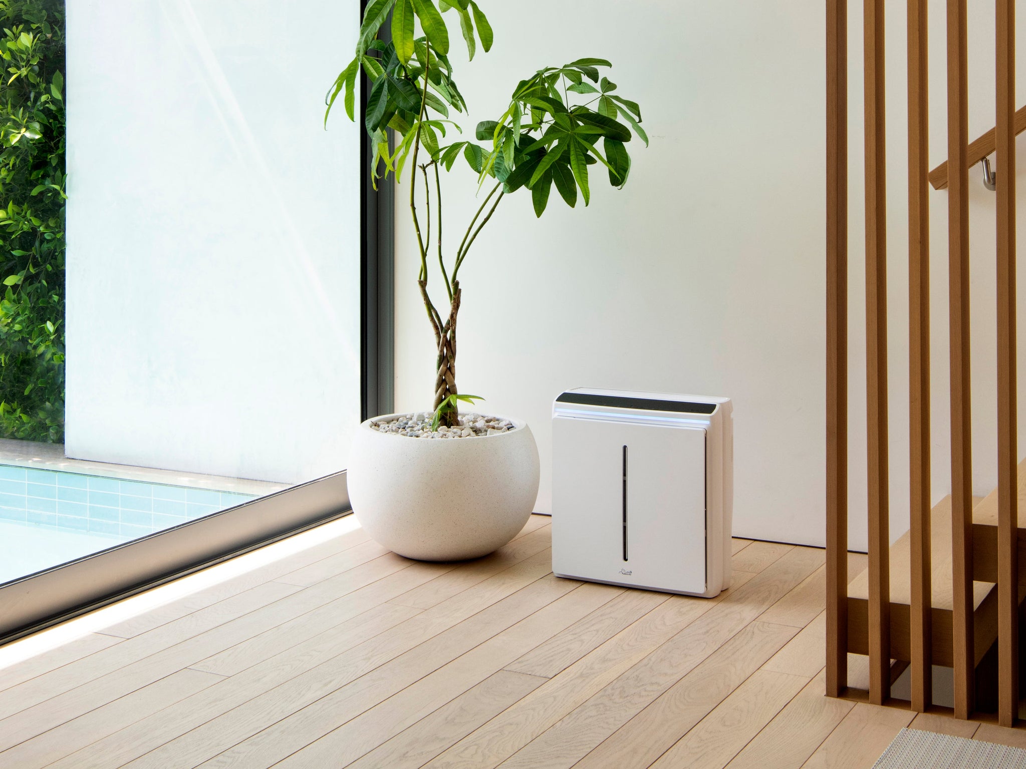 Rabbit Air | HEPA Air Purifiers that are Ultra Quiet and Rabbit Air | HEPA Air Purifiers that are Ultra Quiet and