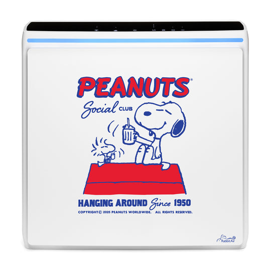 A3 Air Purifier Peanuts Hanging Around special edition