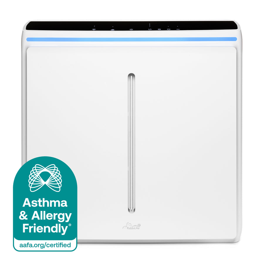 A3 Asthma & Allergy Friendly Air Purifier